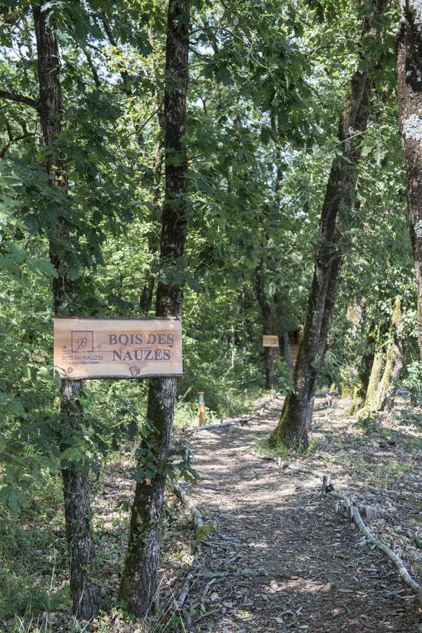 Bois Des Nauzes Villa Seyches Екстериор снимка